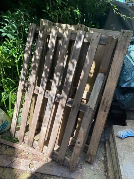 Photo of free Pallets (Exeter EX2 7) #2