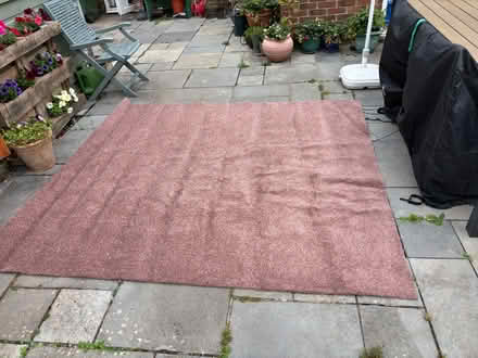 Photo of free Carpet new never used (Seaside BN22) #1
