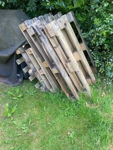 Photo of free Pallets (Exeter EX2 7) #1