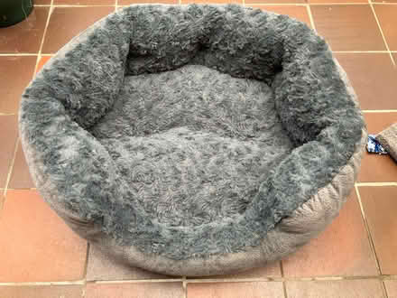 Photo of free Cat bed (Hampton Hill) #2