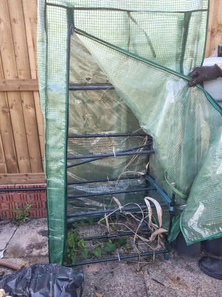 Photo of free Greenhouse (Hall Green B28) #2