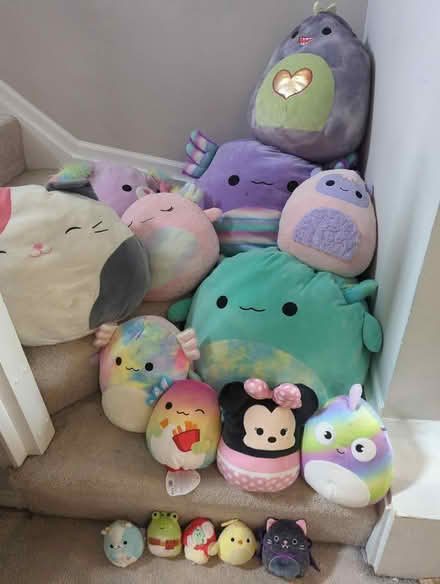 Photo of free Small hoard of squishmallows (Kingstown) #1
