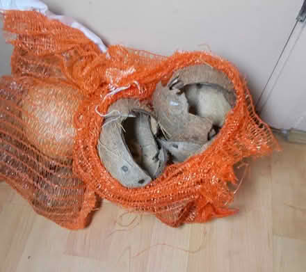 Photo of free 2kg empty broken coconut shells (Potters Bar EN6) #1