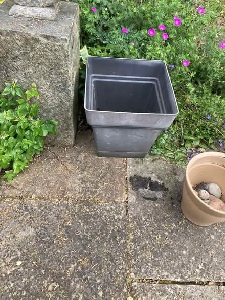 Photo of free Modern Grey Plant Container (Wimbledon Village SW19) #1