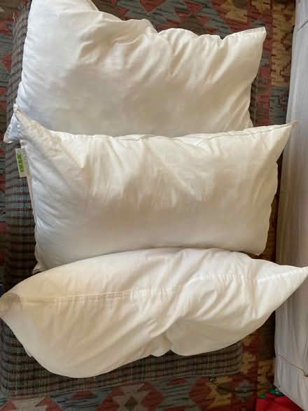 Photo of free 3x Pillows (Wandsworth Common SW12) #1