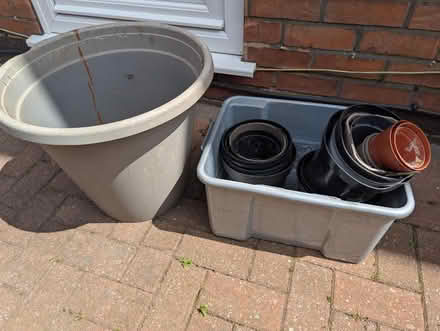 Photo of free Plant pots - small, one large (Arnold NG5) #1