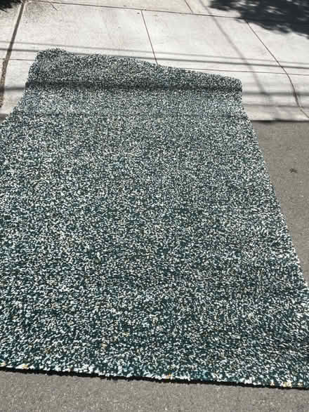 Photo of free Area rug (Rex Manor) #2