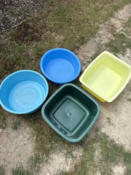 Photo of free Plastic bowls (Church Crookham GU52) #1