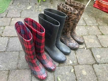 Photo of free Three pair of women wellies size 37 (Totley S17) #2