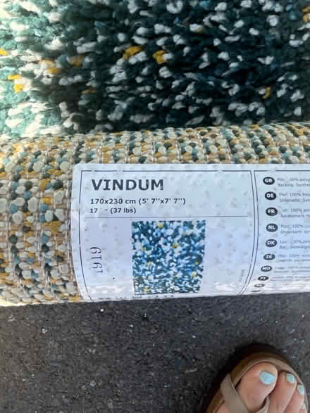 Photo of free Area rug (Rex Manor) #1