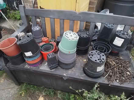 Photo of free Plant pots galore (Grenoside S35) #1