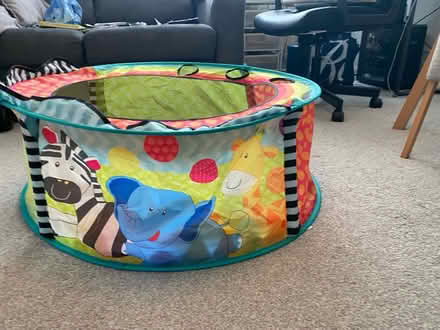 Photo of free Safari theme pool pit (Forest park RG12) #1