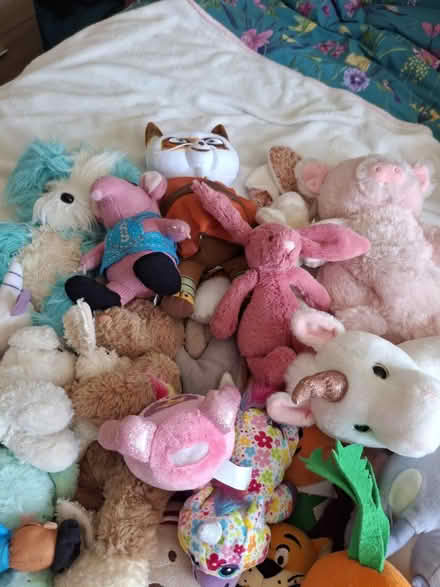 Photo of free Soft toys (Hoylake CH47) #3