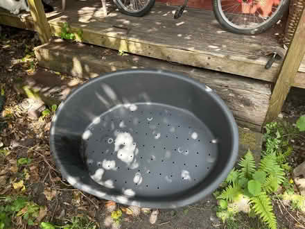 Photo of free Plastic Dog Bed (Alloa FK10) #1