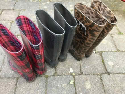 Photo of free Three pair of women wellies size 37 (Totley S17) #1