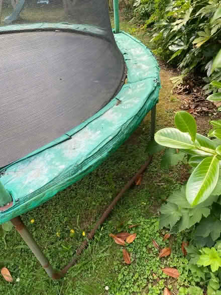 Photo of free Trampoline (Exeter EX2 7) #4