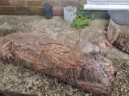 Photo of free DECORATIVE Wood for Garden or drive (Caversham RG4) #1