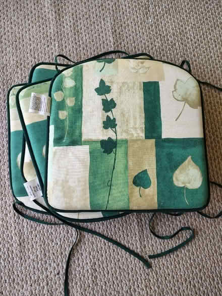 Photo of free Outdoor chair pads (Hall Green B28) #1