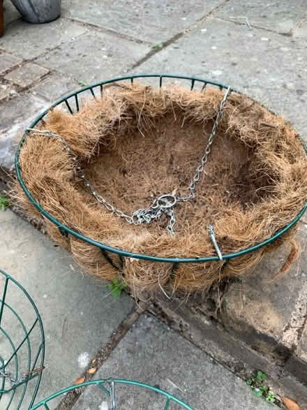 Photo of free Hanging baskets (Ware SG12) #4