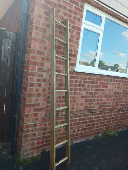 Photo of free Old Broken Ladder (Kempshott RG22) #1