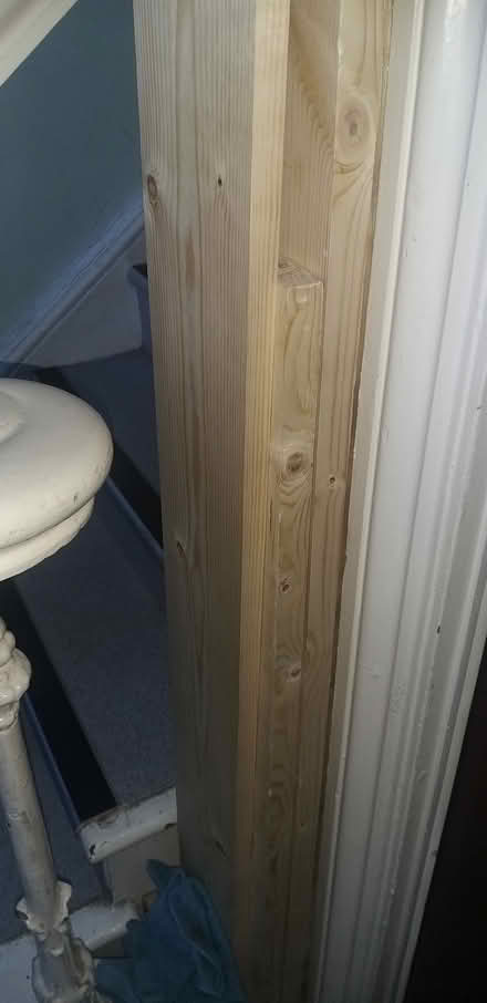 Photo of free Various Wood (Herne Hill, SE24) #1