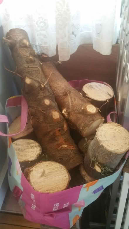 Photo of free Trunks from Xmas trees (Parson cross S5) #2
