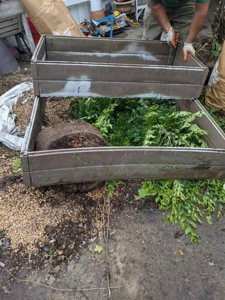Photo of free 8 Raised beds (Brightwood NW DC) #3