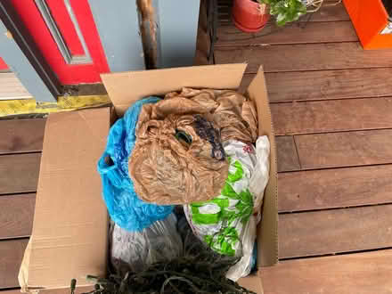 Photo of free Christmas lights (North side of Cleveland Hts) #2