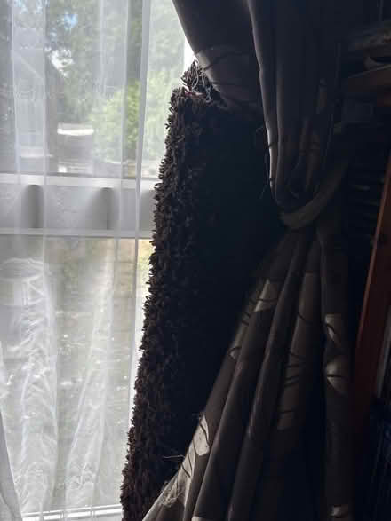 Photo of free Chocolate Brown Rug (IP27) #1