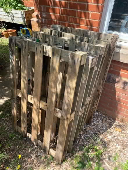 Photo of free Pallets (Exeter EX2 7) #3