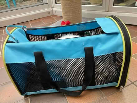 Photo of free Pet carrier (Hampton Hill) #2