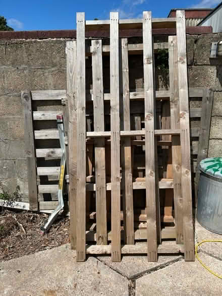 Photo of free Timber from pallets (Gedling NG4) #1
