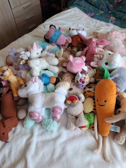Photo of free Soft toys (Hoylake CH47) #1