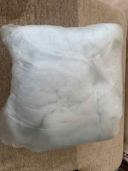 Photo of free Wadding for craft (Thorpe Marriot NR8) #3