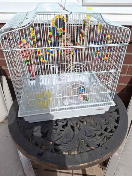 Photo of free Bird Cage (Hoylake CH47) #1