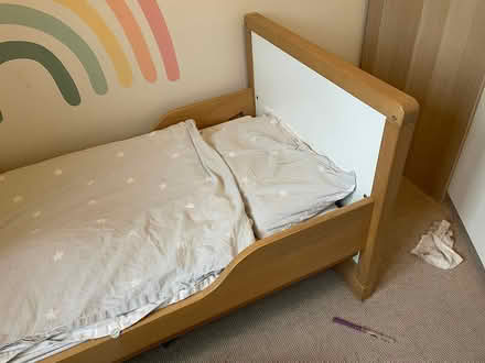 Photo of free Convertable Cot bed (N14) #3