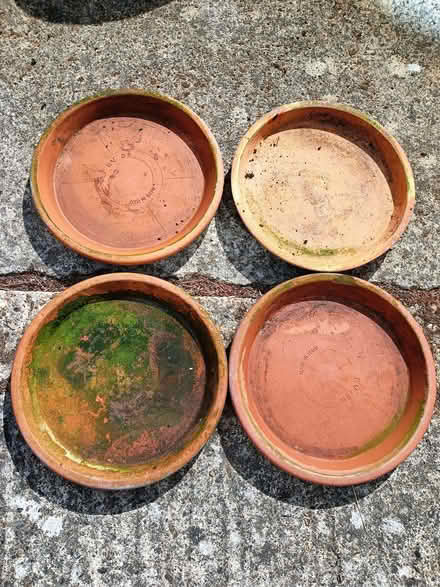 Photo of free 4 plant pot drip trays 36cm (Chalvington BN27) #1