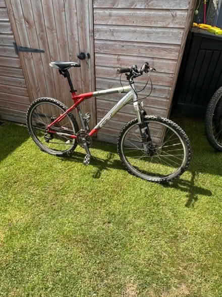 Photo of free Large men’s mountain bike (KT19) #1