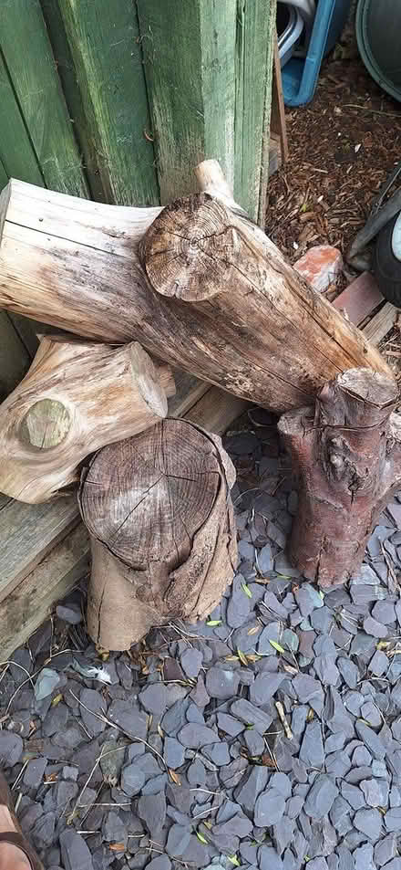 Photo of free 4 large logs (Florence Park OX4) #2