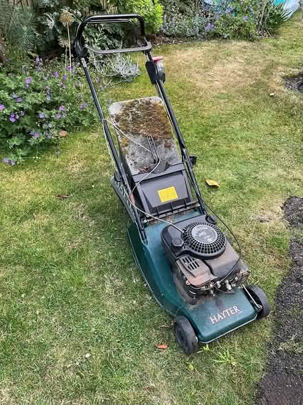 Photo of free Petrol lawnmower needs service (Muswell Hill N10) #1