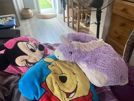 Photo of free Cushions (Hersham KT12) #1