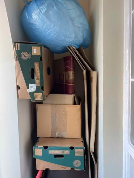 Photo of free Moving Boxes (BN3 5SB) #1