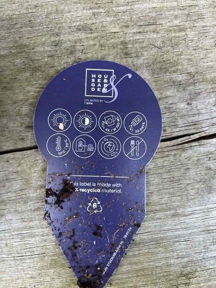 Photo of free Plant (Prestonfield EH16) #2