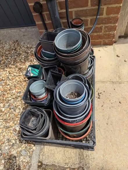 Photo of free Quantity of plant pots (Winterbourne Bassett SN4) #1