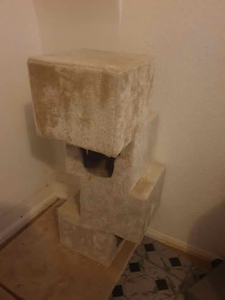 Photo of free Cat tower (Margate CT9) #1