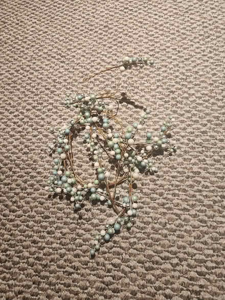 Photo of free Sage/white/silver berries on vine (Marlboro) #1