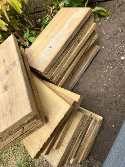 Photo of free BBQ fire pit wood (Stevenage SG2) #1