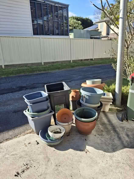 Photo of free Large plant pots (North Lambton) #1