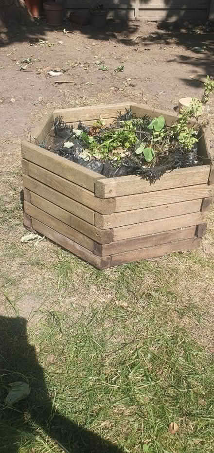 Photo of free Wooden planter (E12 Manor park) #1