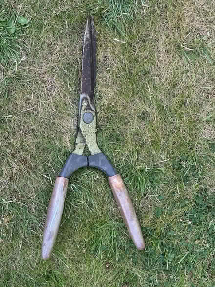 Photo of free Hedge cutters (Stobhill NE61) #2